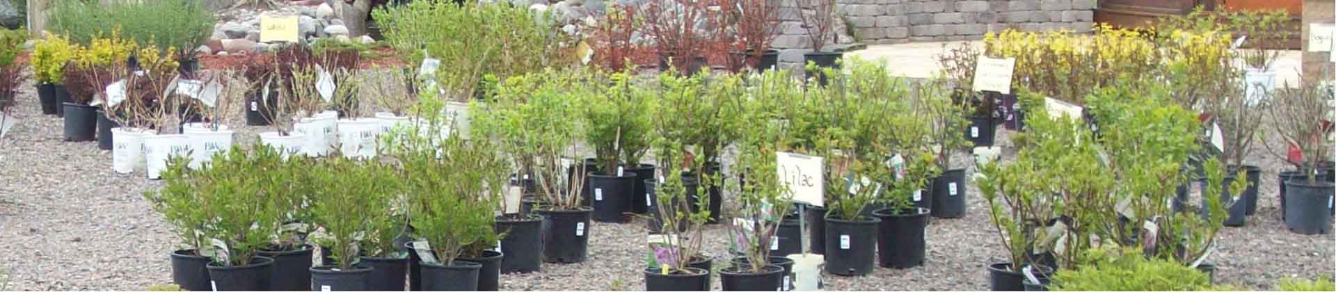 Whatever you’re looking to plant this season, we have you covered